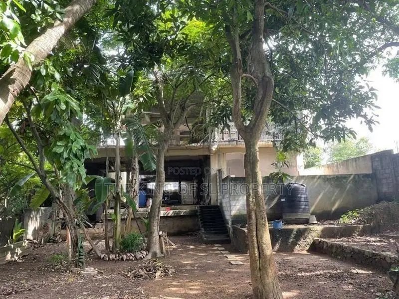 Land for sale in Colombo 05