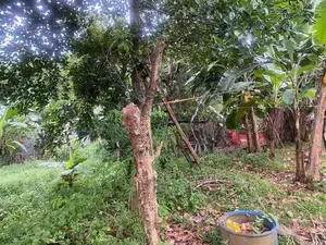 Land for sale in Ragama