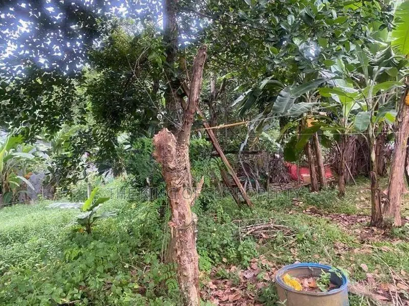 Land for sale in Ragama