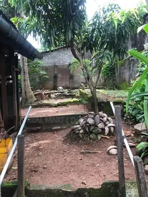 Colombo 15 : 3BR (17P) House for Sale at De la salle street