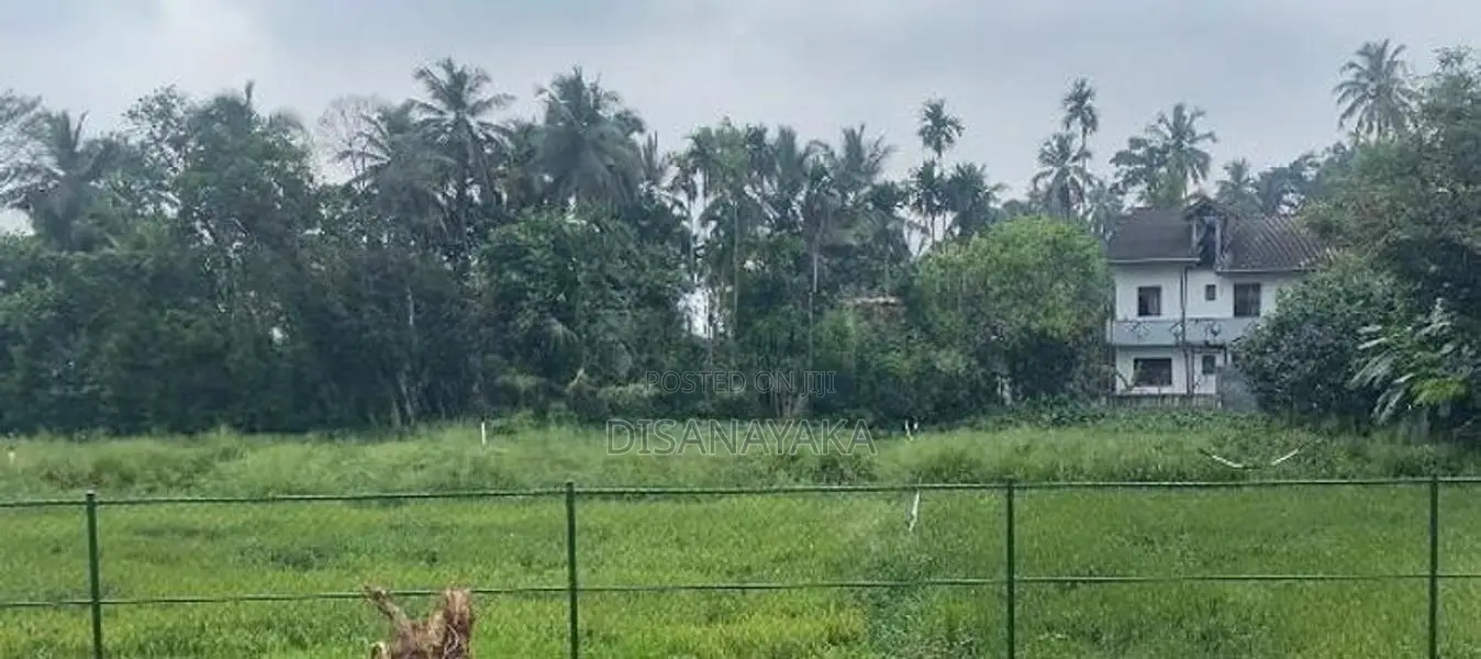 paddy field view land for sale in rajagiriya DS2250