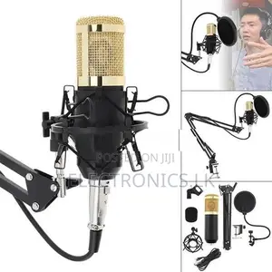 Professional Condenser Microphone with V8 Soundcard
