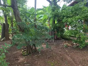 Land for Sale in Dehiwala ( Pepiliyana )