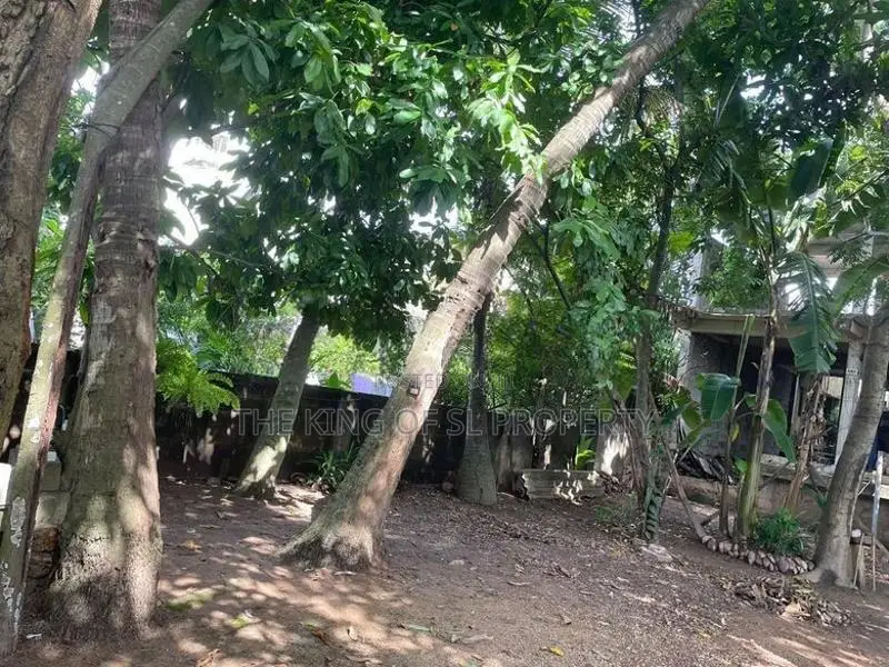 Land for sale in Colombo 05