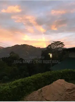 Nuwara Eliya: 5 Bedrooms (40 Perch) Holiday Bungalow for sale Kothmale