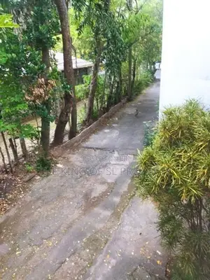 Land for sale in Colombo 07