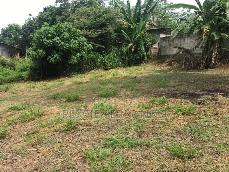 Land with Old House Galagedara