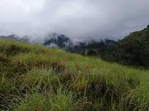 Land for sale in Lunugala Badulla District | SL 14622
