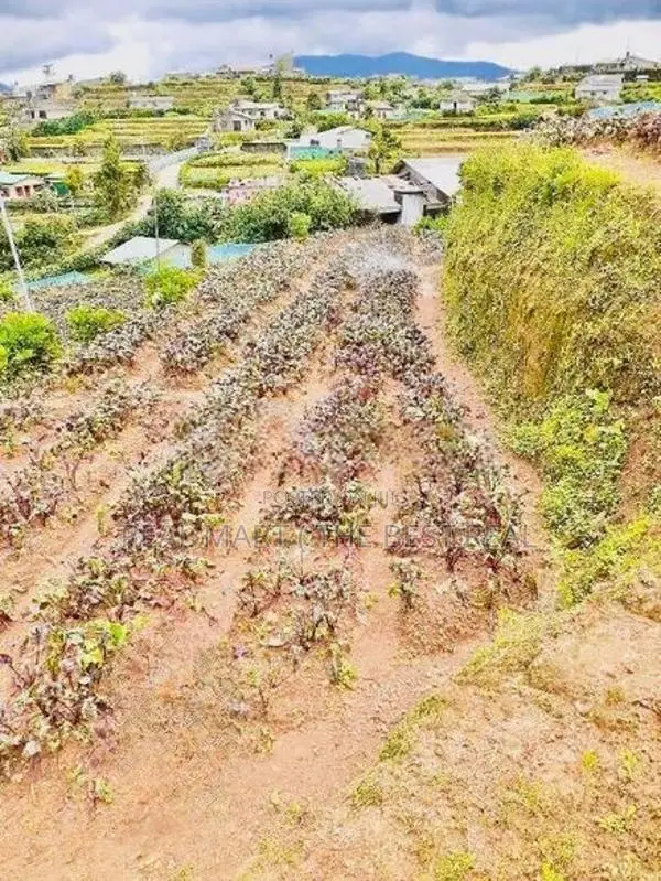 Nuwara Eliya : 95 perches Land for Sale at Meepilimana