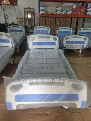 Four Function Electric Hospital Bed