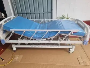 Four Function Electric Hospital Bed