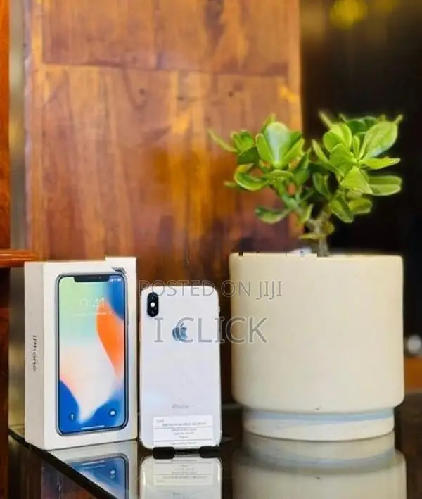 Apple iPhone X 256GB (Used)