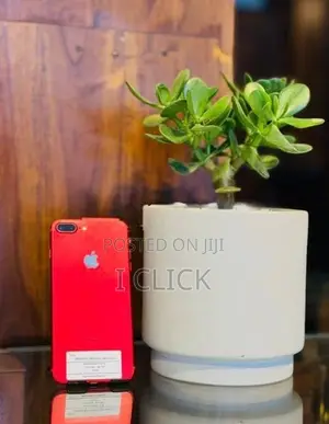 Apple iPhone 7 Plus 128GB (Used)