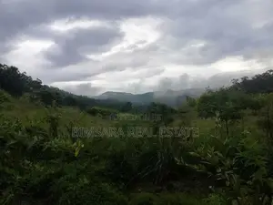 Land for sale in Lunugala Badulla District | SL 14622