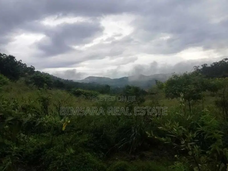 Land for sale in Lunugala Badulla District | SL 14622