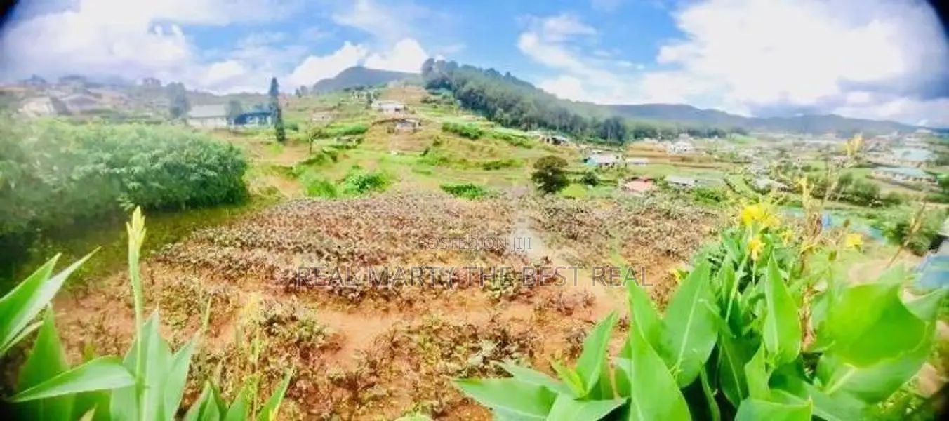 Nuwara Eliya : 95 perches Land for Sale at Meepilimana