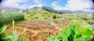 Nuwara Eliya : 95 perches Land for Sale at Meepilimana