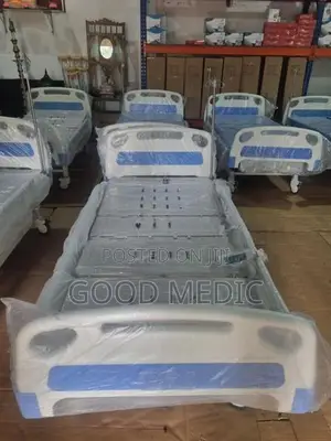 Four Function Electric Hospital Bed