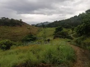 Land for sale in Lunugala Badulla District | SL 14622