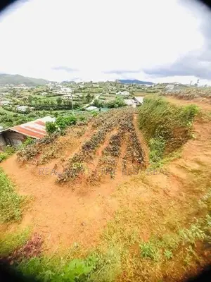Nuwara Eliya : 95 perches Land for Sale at Meepilimana