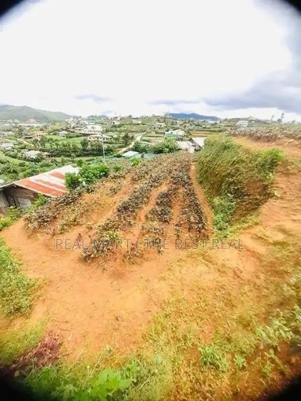 Nuwara Eliya : 95 perches Land for Sale at Meepilimana