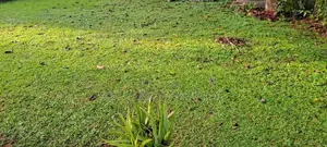 Kohuwala : 34.40P Highly Residential land Sale facing woodland mawatha