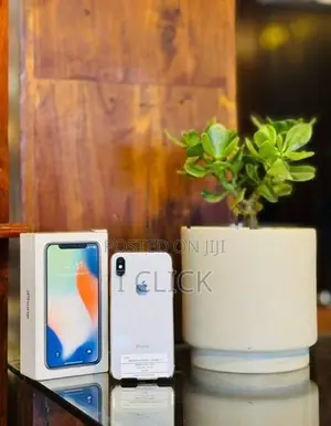 Apple iPhone X 256GB (Used)