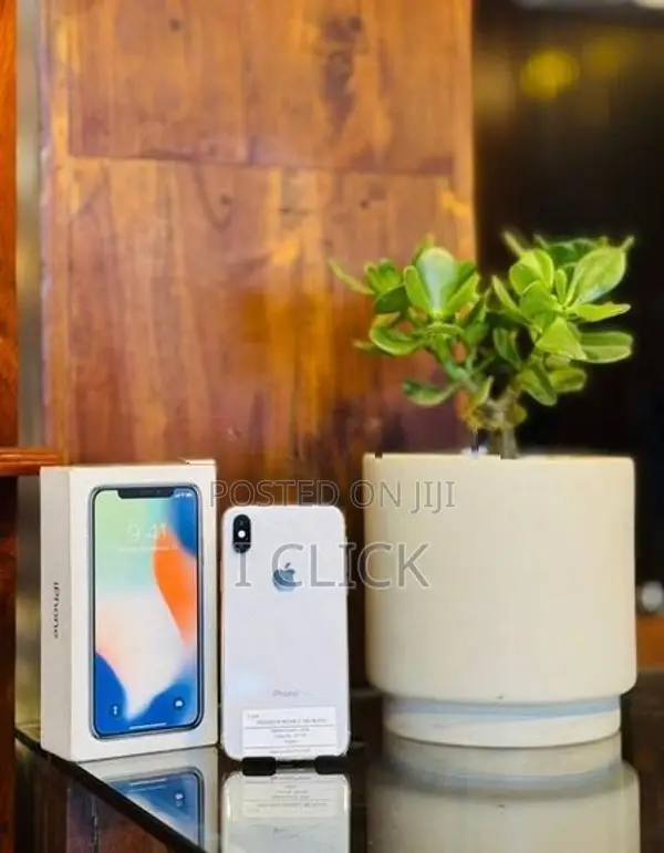 Apple iPhone X 256GB (Used)