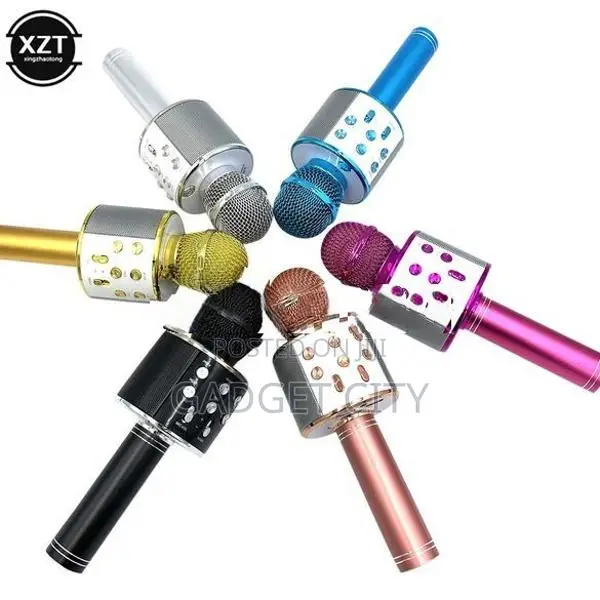 Wireless Karaoke Mic Ws858