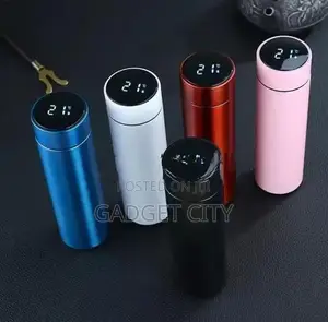 Stainless Steel Temperature Bottle