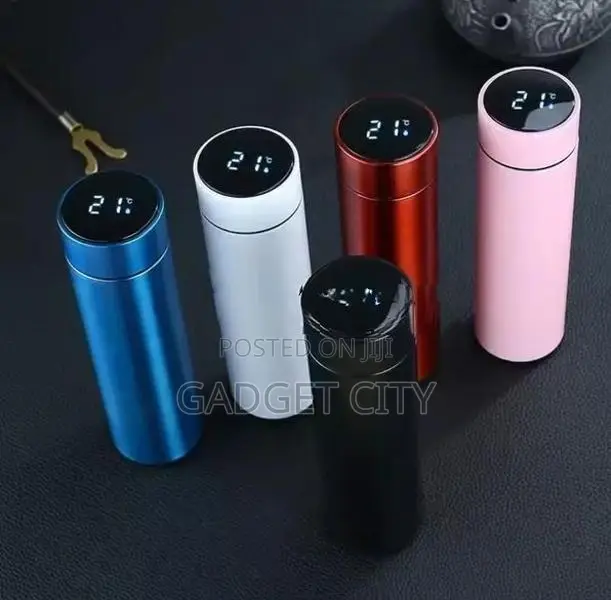Stainless Steel Temperature Bottle