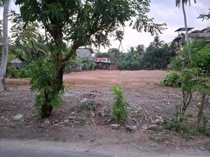 Matara : 50 perches Bare Land for Sale at Madiha