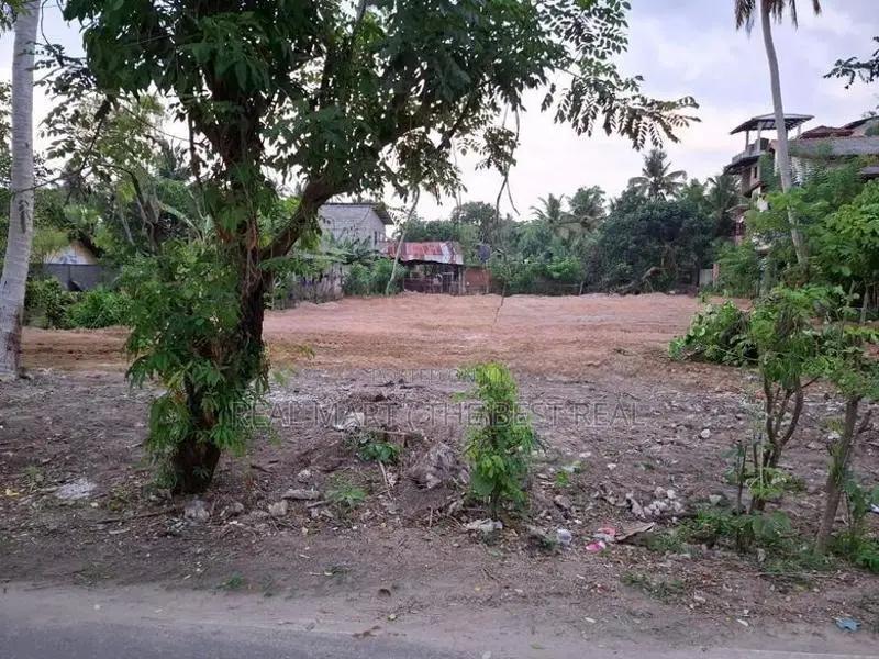 Matara : 50 perches Bare Land for Sale at Madiha
