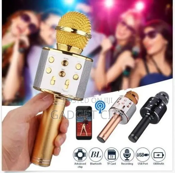 Wireless Karaoke Mic Ws858