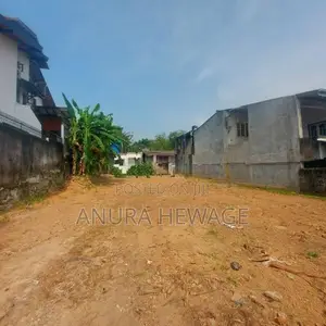 තලපත්පිටිය, සිගේරා මාවතේ පිහිටි ඉඩමක් විකිණීමට ඇත. (ID : SIGR001S )