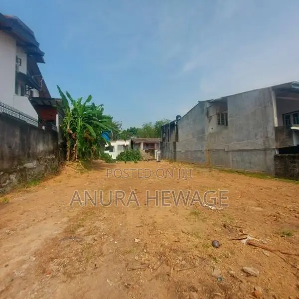 තලපත්පිටිය, සිගේරා මාවතේ පිහිටි ඉඩමක් විකිණීමට ඇත. (ID : SIGR001S )