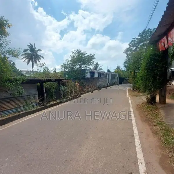 තලපත්පිටිය, සිගේරා මාවතේ පිහිටි ඉඩමක් විකිණීමට ඇත. (ID : SIGR001S )
