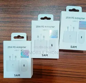 Samsung 25W Fast Charger