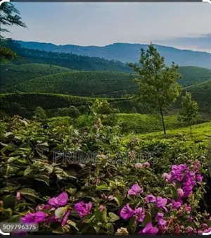 Hatton Land for Sale Ginigathhena Road