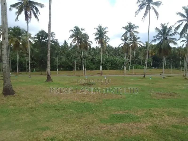 Land In Diwulapitiya