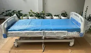 Four Function Electric Hospital Beds