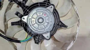 Nissan Dayz Radiator Fan Motor