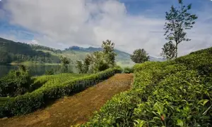Hatton Land for Sale Ginigathhena Road