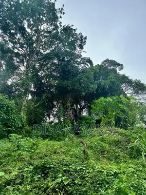 Super Land for Sale Baththaramulla Ds3030