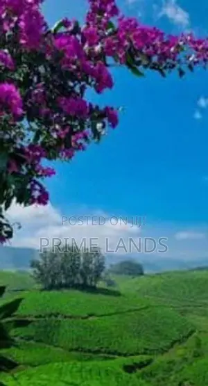 Land for sale Nuwara Eliya Road Hatton