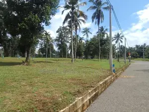 Land In Diwulapitiya