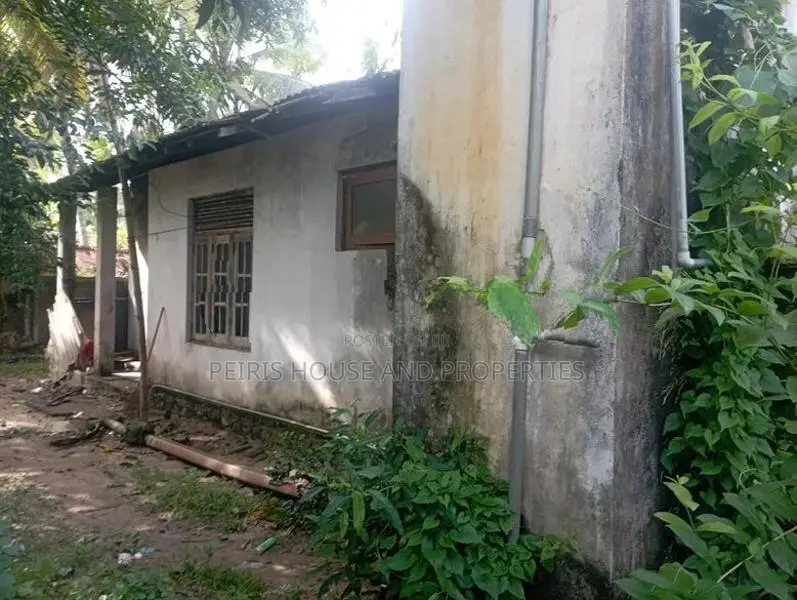 Land For Sale Akkarapanaha Negombo Gampaha