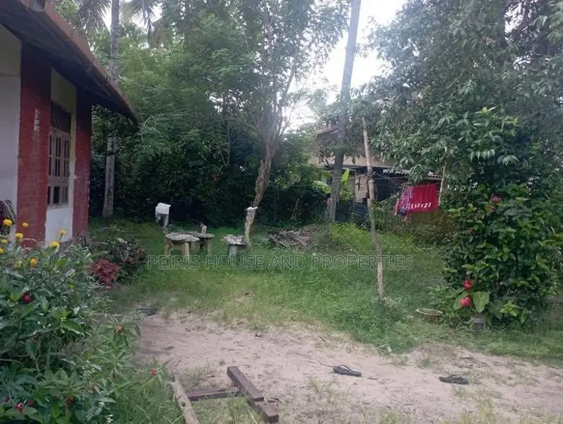 Land For Sale Akkarapanaha Negombo Gampaha