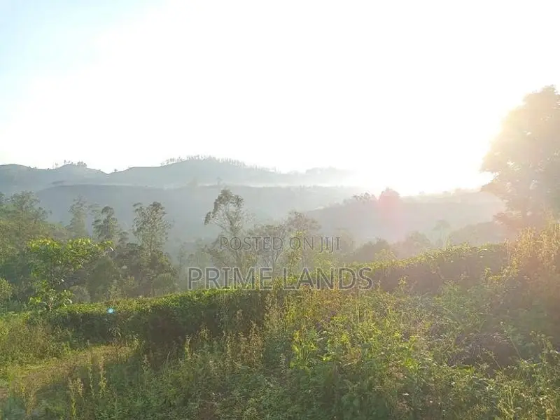Land for sale flat Hatton