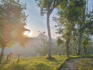 Hatton Land for Sale Ginigathhena Road